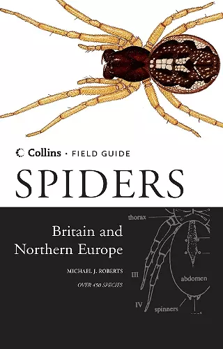 Spiders of Britain and Northern Europe cover