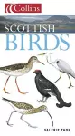 Scottish Birds cover