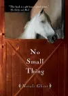 No Small Thing cover