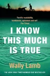 I Know This Much is True cover