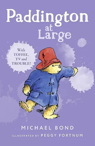 Paddington At Large cover