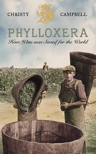 Phylloxera cover