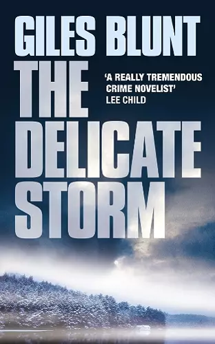 The Delicate Storm cover