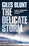 The Delicate Storm cover