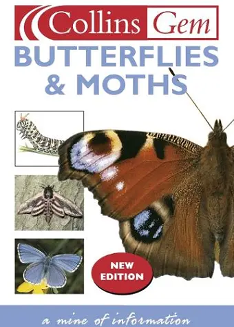 Butterflies cover