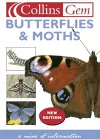 Butterflies cover