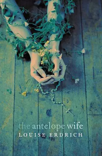 The Antelope Wife cover