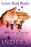 Secret of the Indian cover