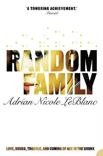 Random Family cover