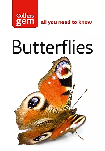 Butterflies cover