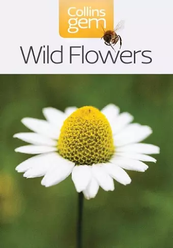 Wild Flowers cover
