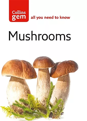 Mushrooms cover