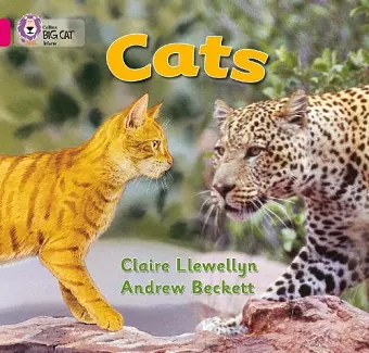 Cats cover