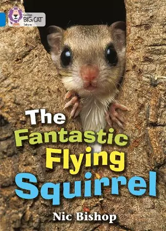 The Fantastic Flying Squirrel cover