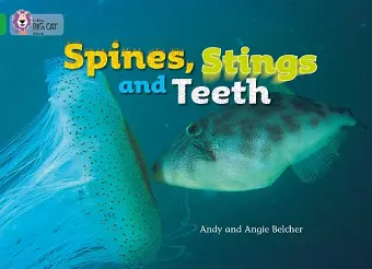 Spines, Stings and Teeth cover