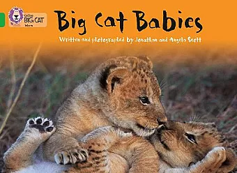 Big Cat Babies cover