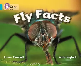 Fly Facts cover