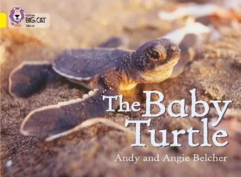 The Baby Turtle cover