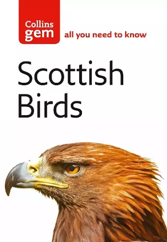 Scottish Birds cover