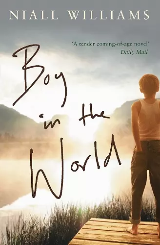 Boy in the World cover
