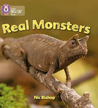 Real Monsters cover