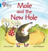 Mole and the New Hole cover