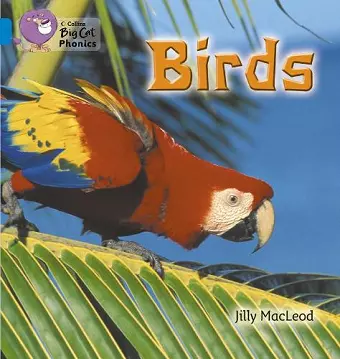 Birds cover