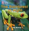 The Rainforest at Night cover