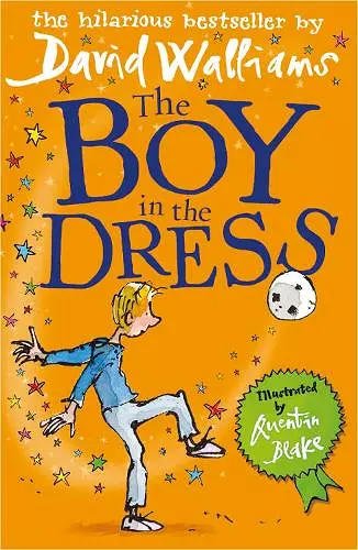 The Boy in the Dress cover