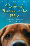The Art of Racing in the Rain cover