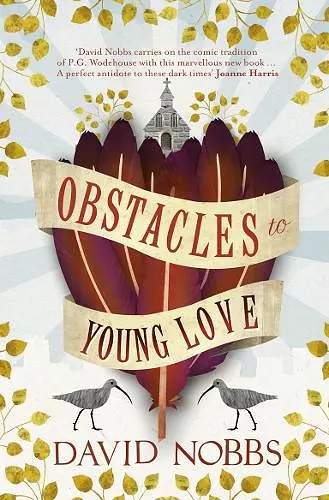 Obstacles to Young Love cover