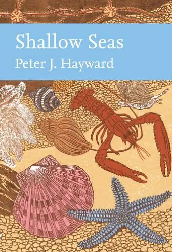 Shallow Seas cover