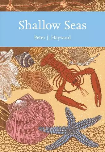 Shallow Seas cover