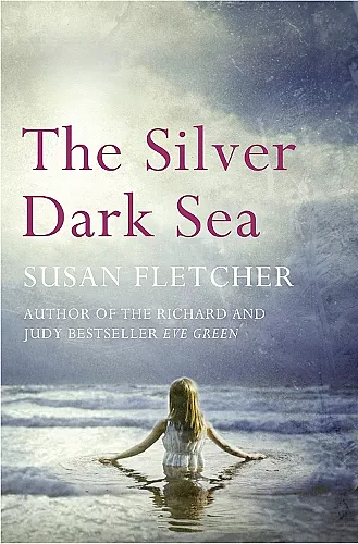 The Silver Dark Sea cover