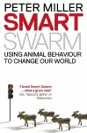 Smart Swarm cover