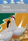 Terns cover