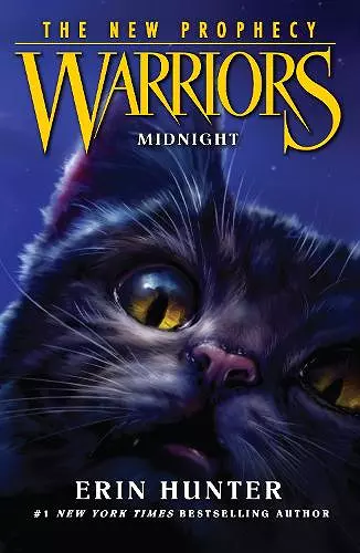 MIDNIGHT cover