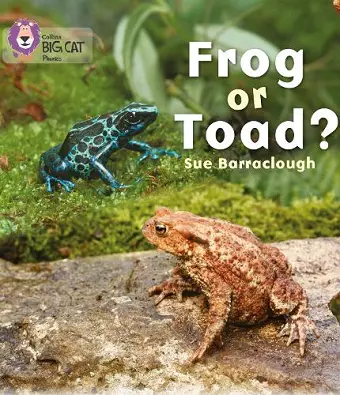 Frog or Toad? cover