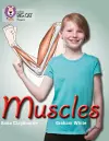 Muscles cover