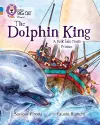 The Dolphin King cover