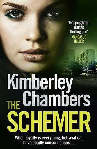 The Schemer cover