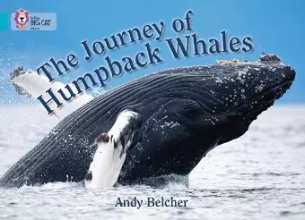 The Journey of Humpback Whales cover