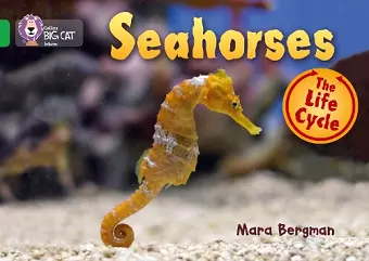 Seahorses cover