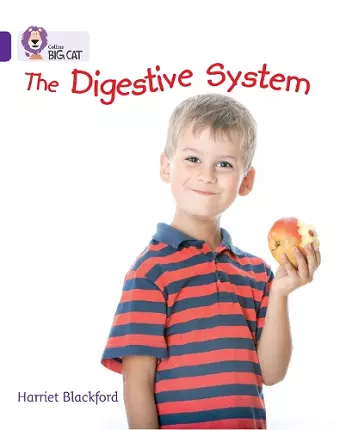 The Digestive System cover