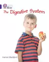 The Digestive System cover