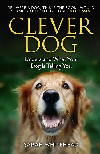 Clever Dog cover