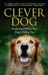 Clever Dog cover