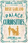The Palace of Curiosities cover