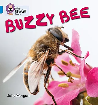 Buzzy Bees cover