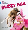 Buzzy Bees cover
